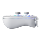 AOLION J20 Detachable Wireless RGB Game Controller for Switch