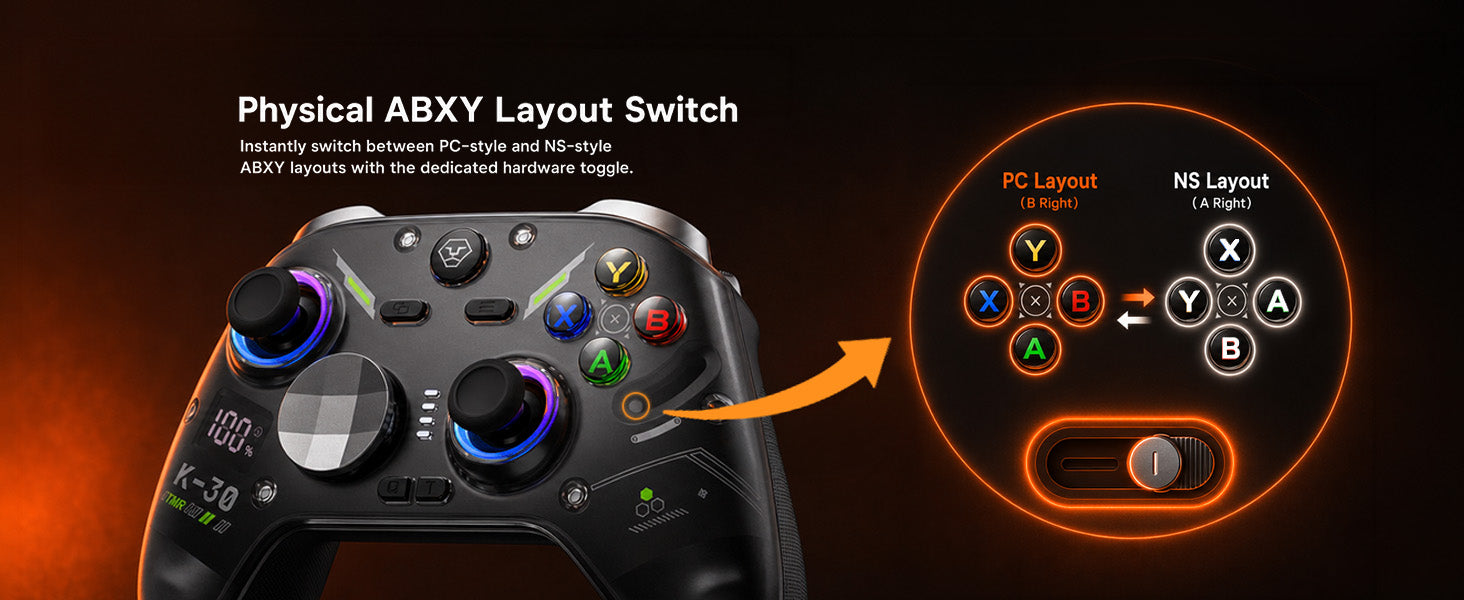 Physical ABXY Layout Switch