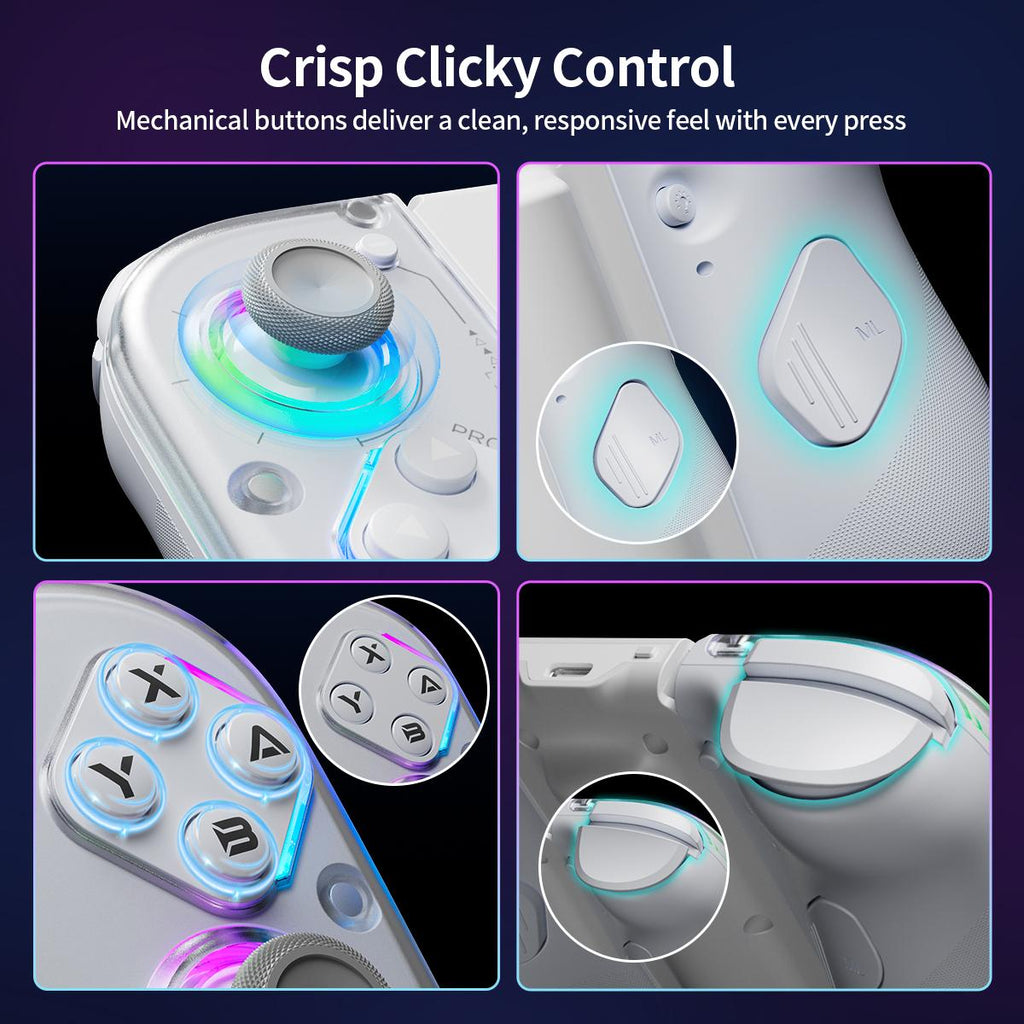 AOLION J20 Detachable Wireless RGB Game Controller for Switch